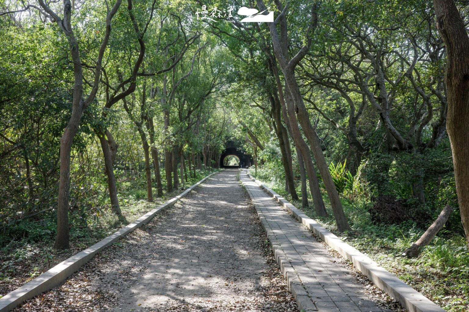 苗栗竹南｜崎頂子母隧道，遇見海與鐵道歷史風景 - JAMIE慢森活