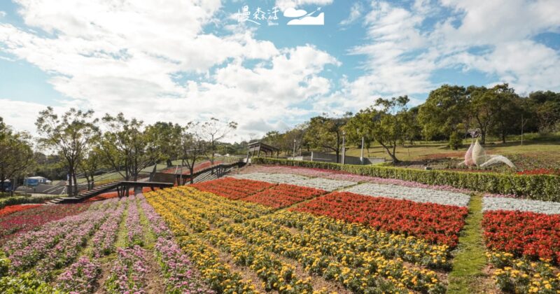 台北賞花搭車就到，北投三層崎公園花海2/11再升級