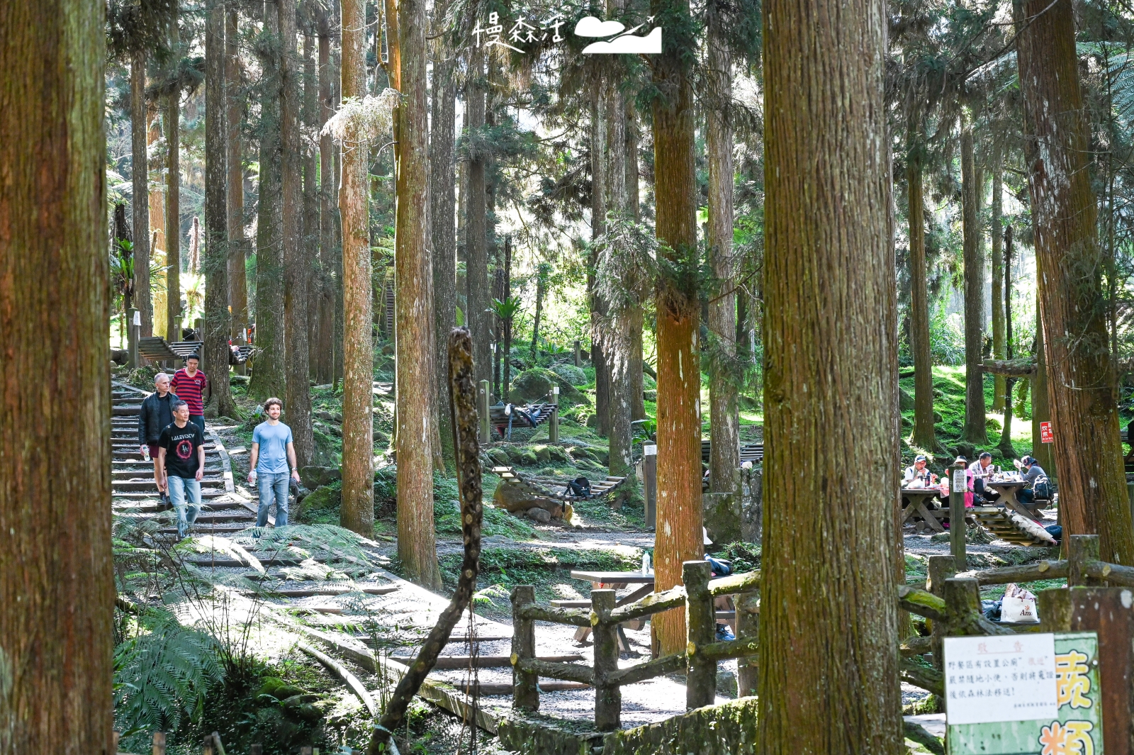 南投溪頭自然教育園區 野餐區