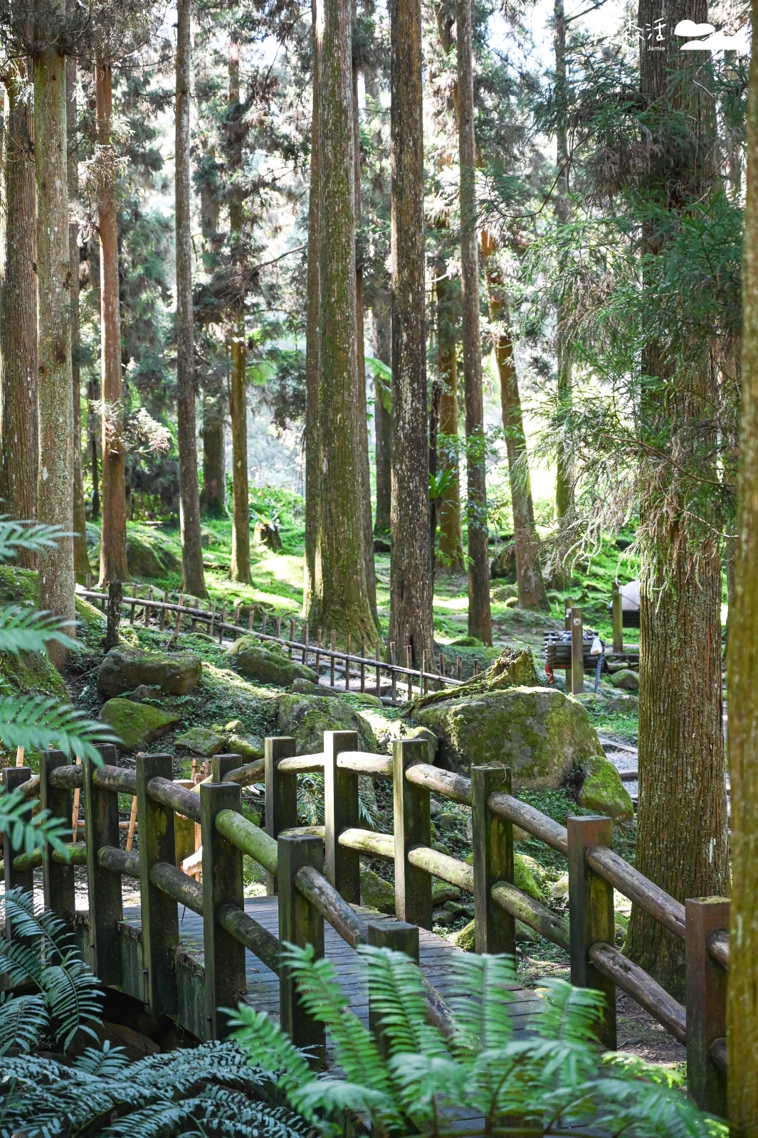 南投溪頭自然教育園區 野餐區
