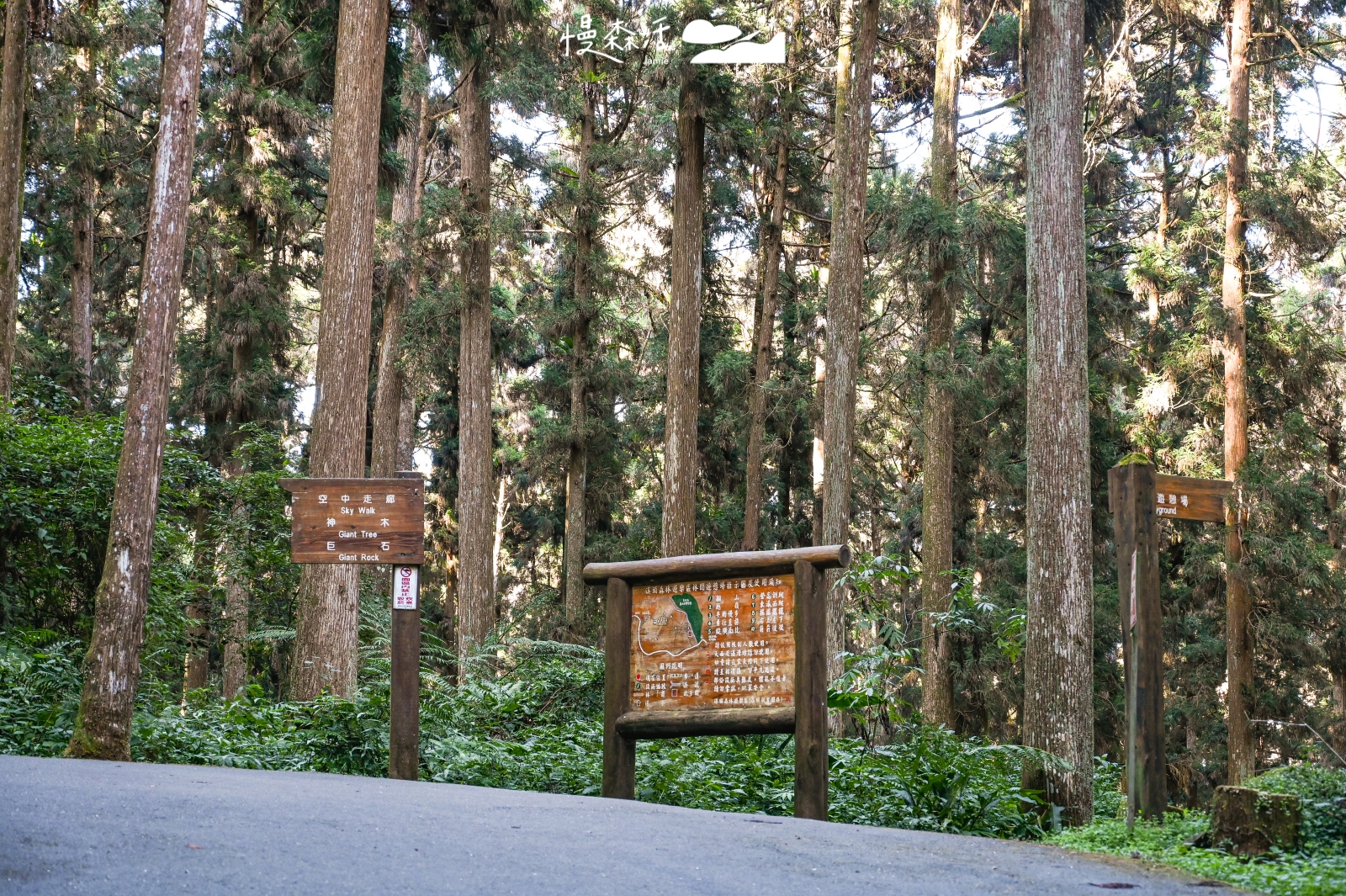 南投溪頭自然教育園區 沿線指示路牌完善