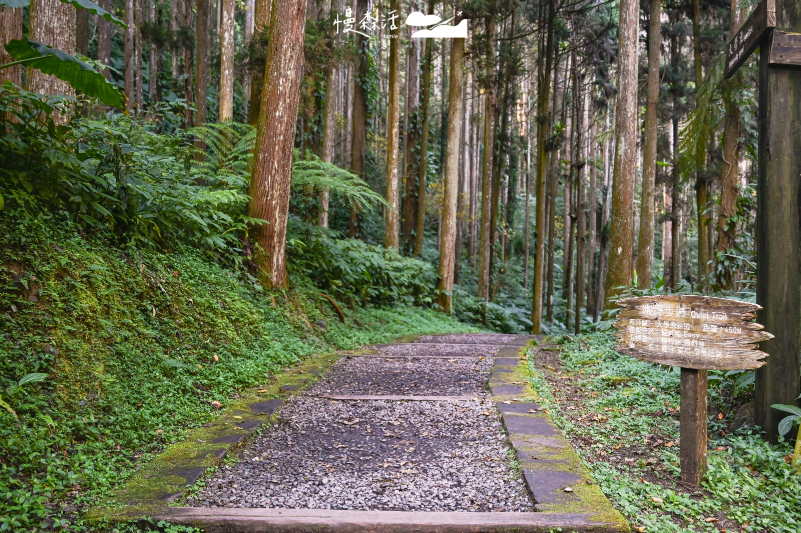 南投溪頭自然教育園區 幽靜步道