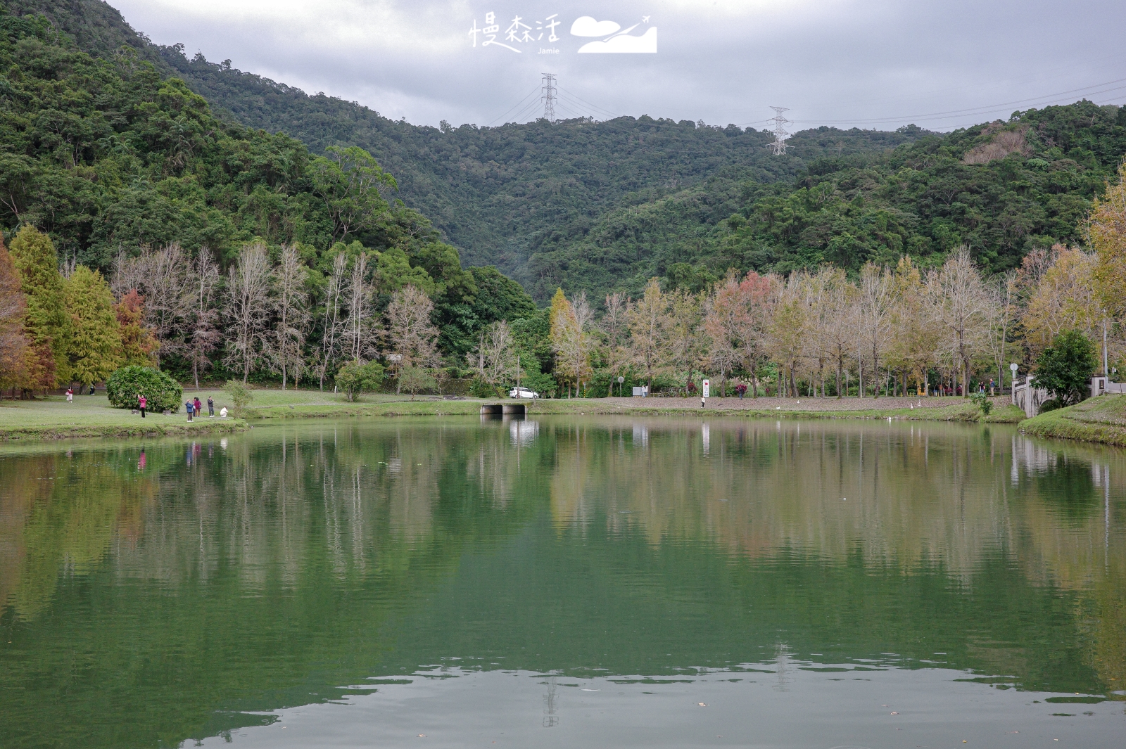 宜蘭員山鄉 蜊埤湖畔落羽松