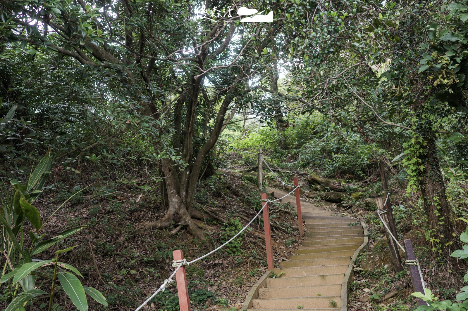 新北市鶯歌區 鶯歌石步道
