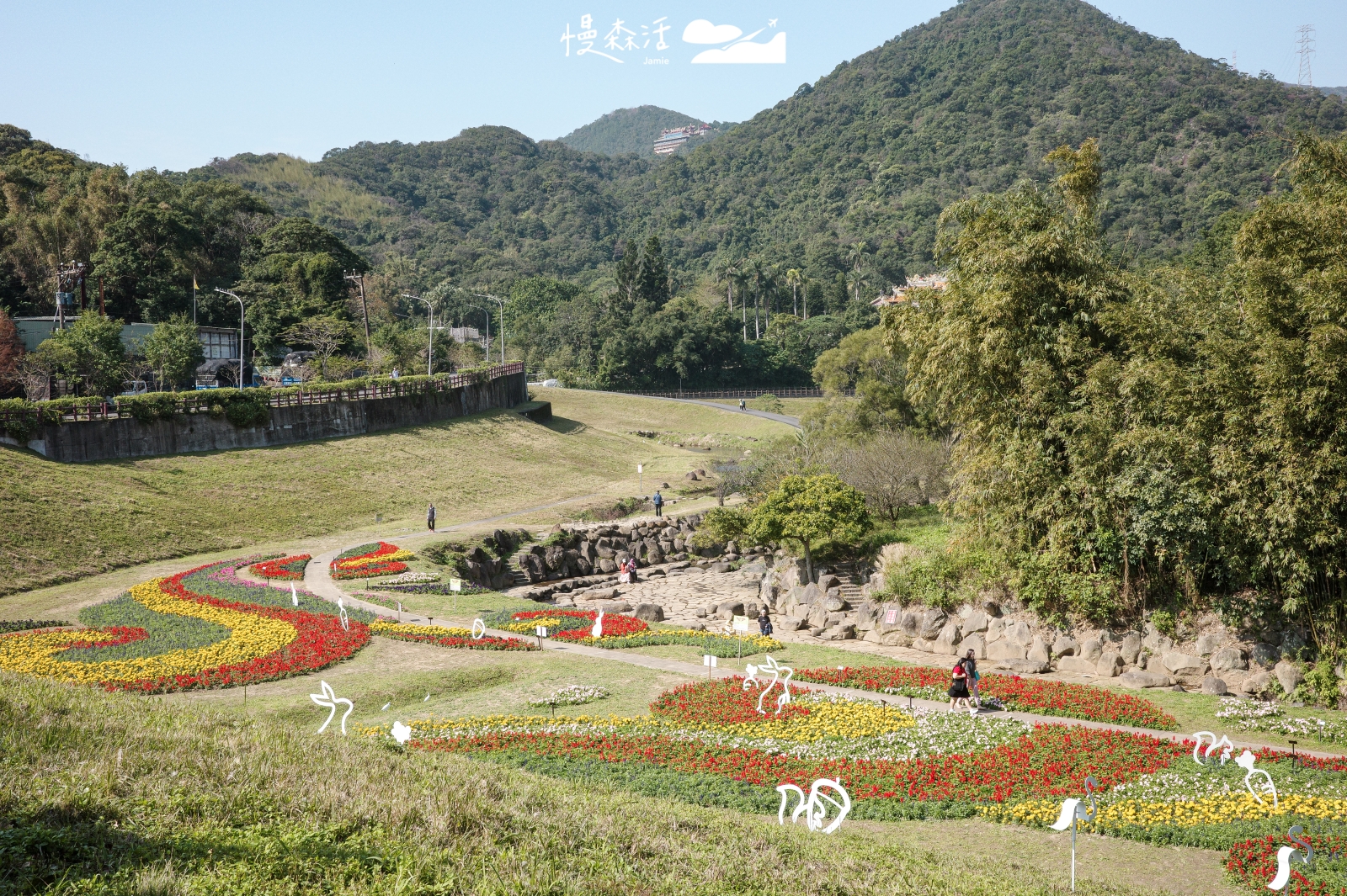內湖大溝溪生態治水園區防洪升級,2.6萬盆繽紛花海綻放至2月