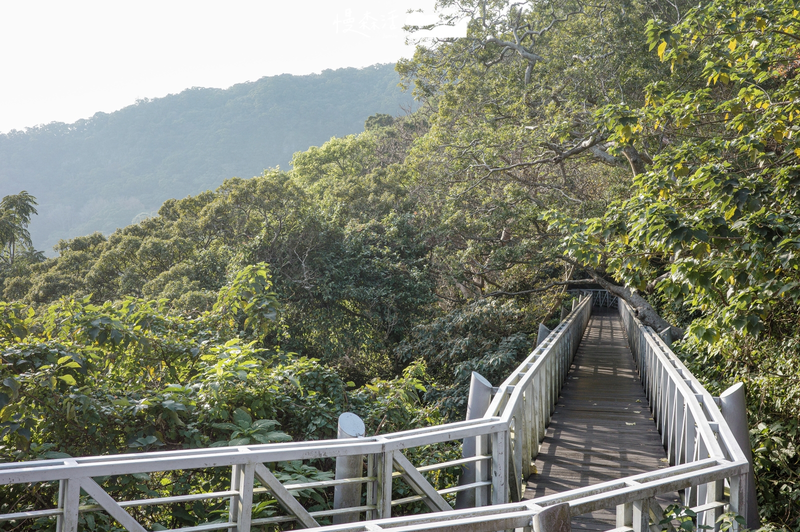  新北市五股區 觀音山林梢步道第二段