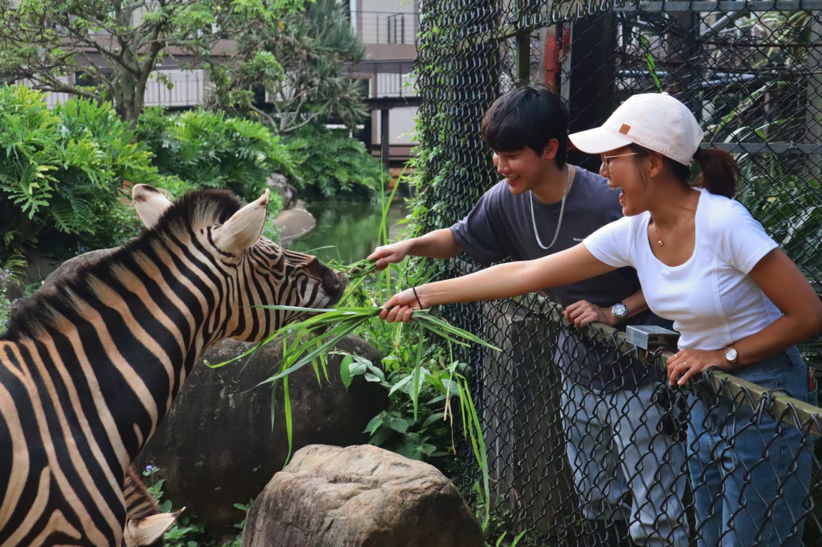 新竹關西六福莊生態渡假旅館 斑馬生態體驗