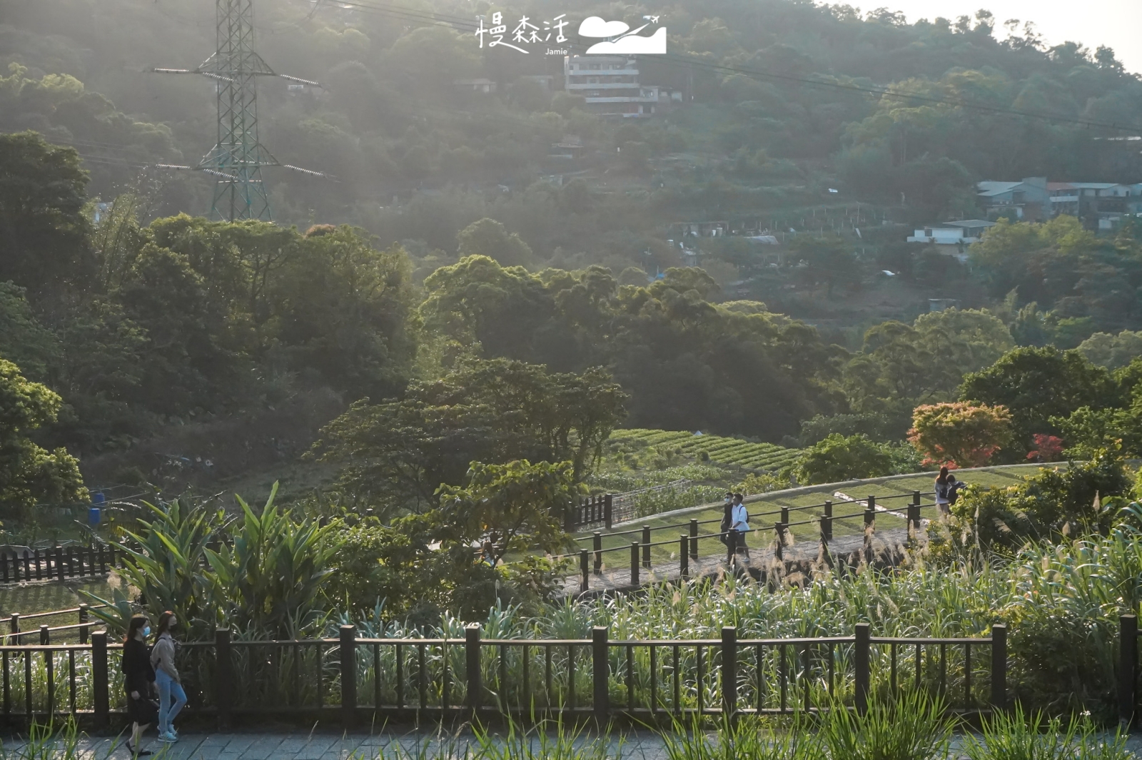 台北文山區 貓空樟樹步道