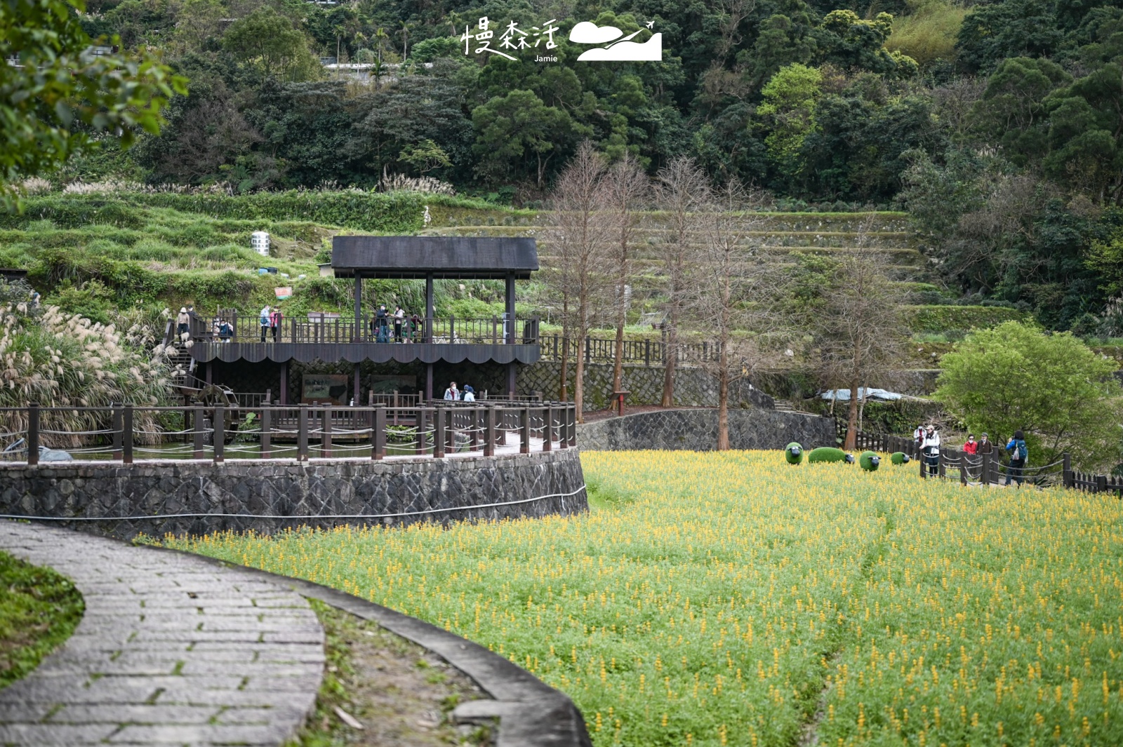 台北文山區 貓空樟樹步道