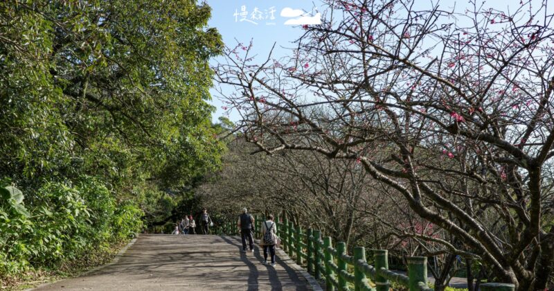 0秒思考，搭車就到！2026春節踏青台北可以這樣安排