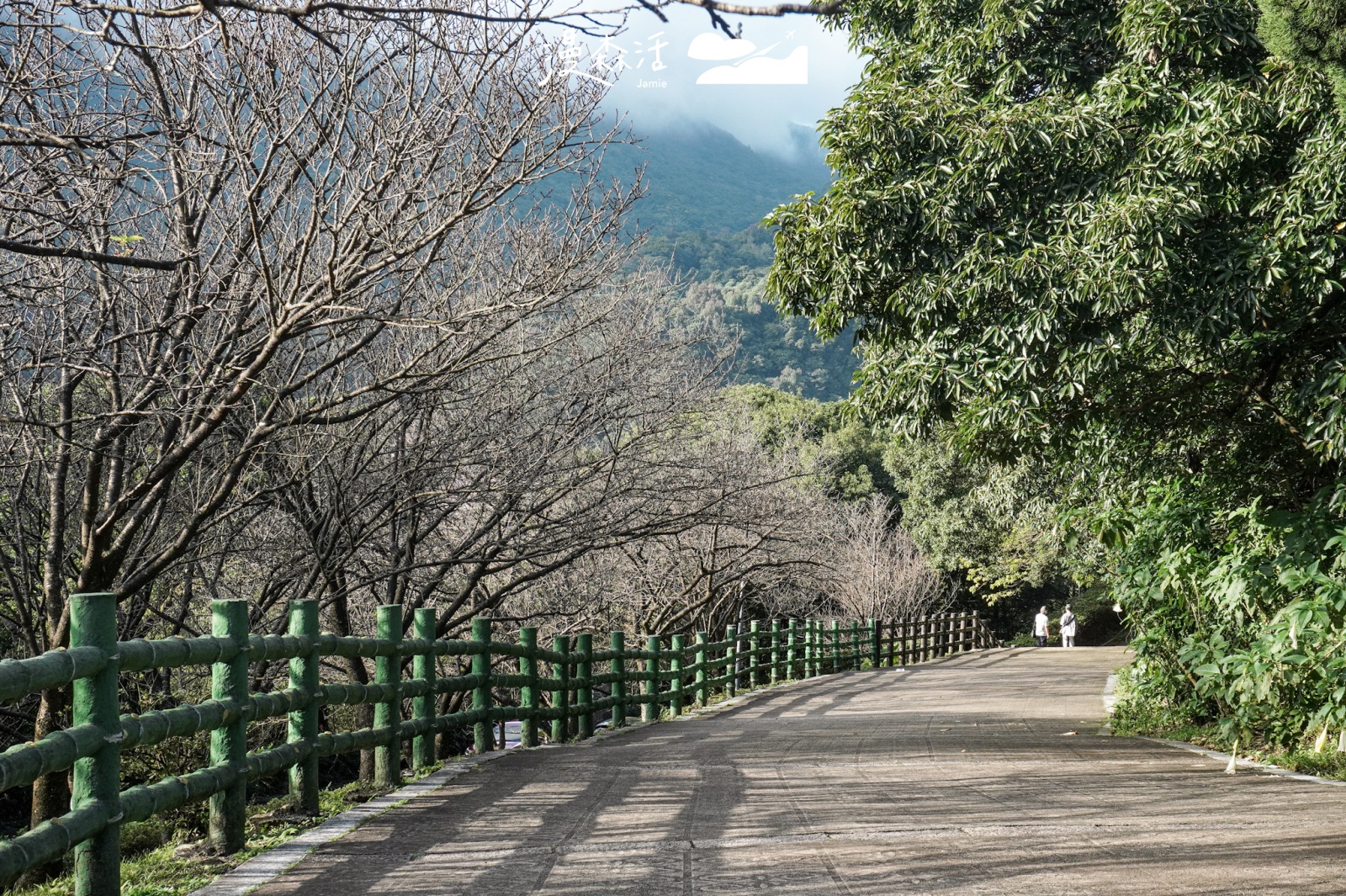 台北市北投區 陽明山