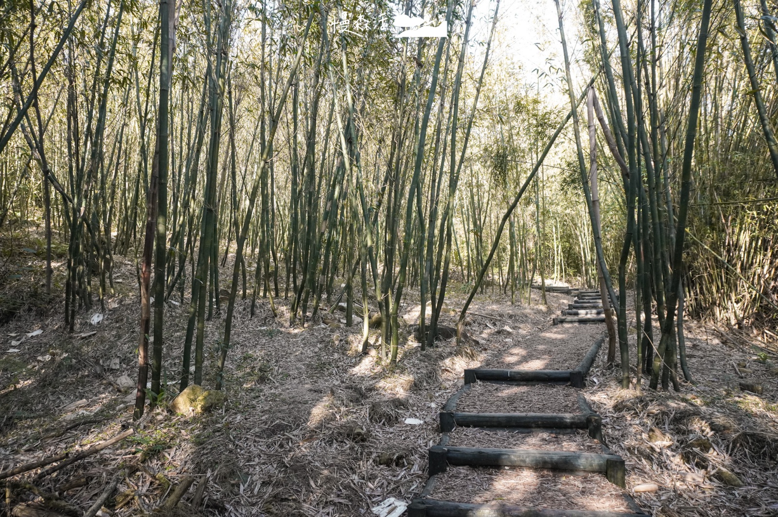 台北市北投區 紫明溪步道
