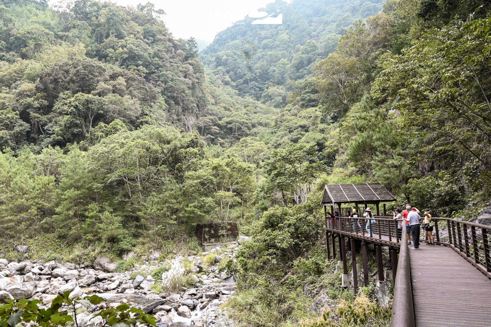 台中市和平區 八仙山國家森林遊樂區