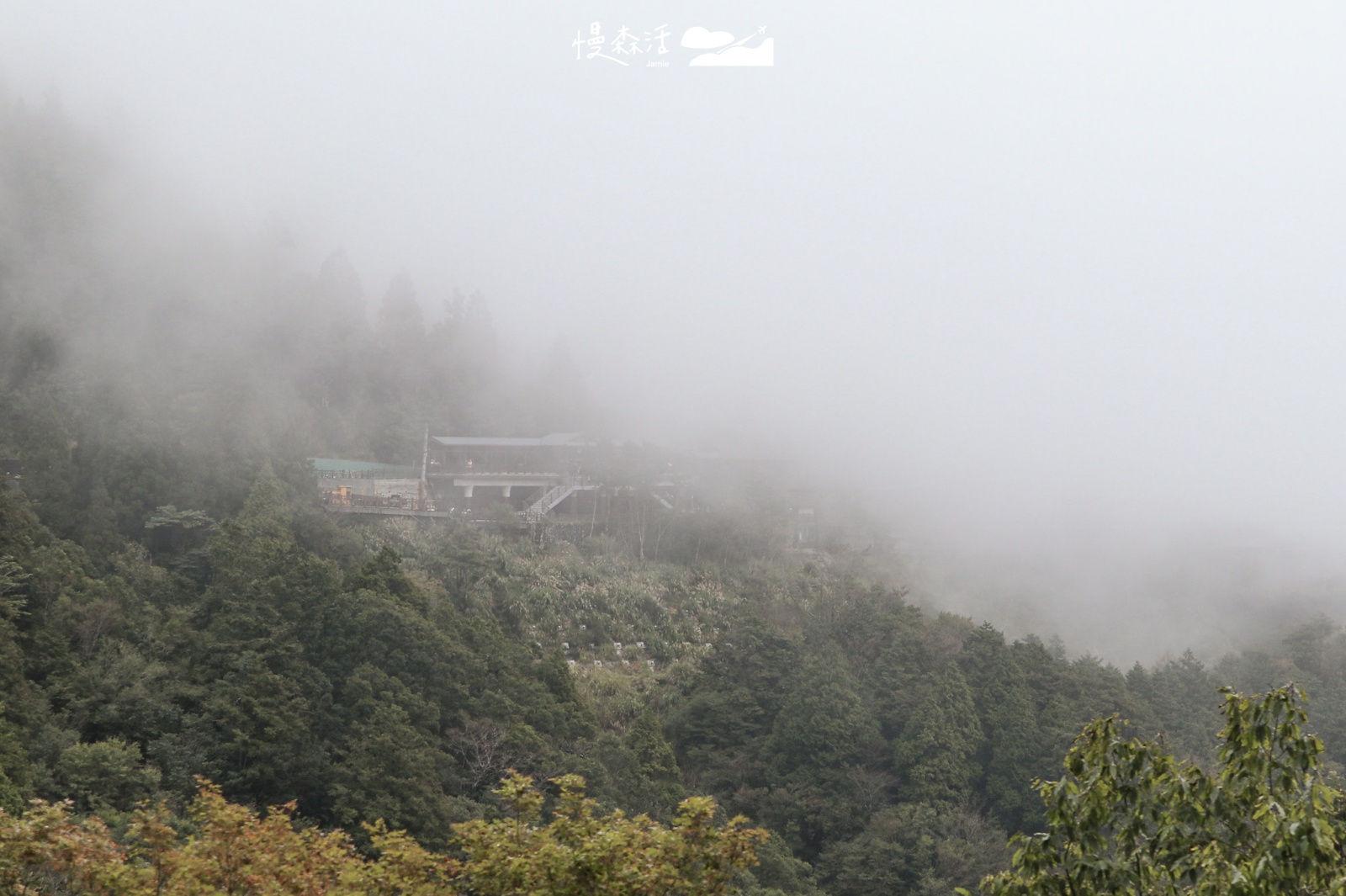宜蘭大同鄉 太平山國家森林遊樂區
