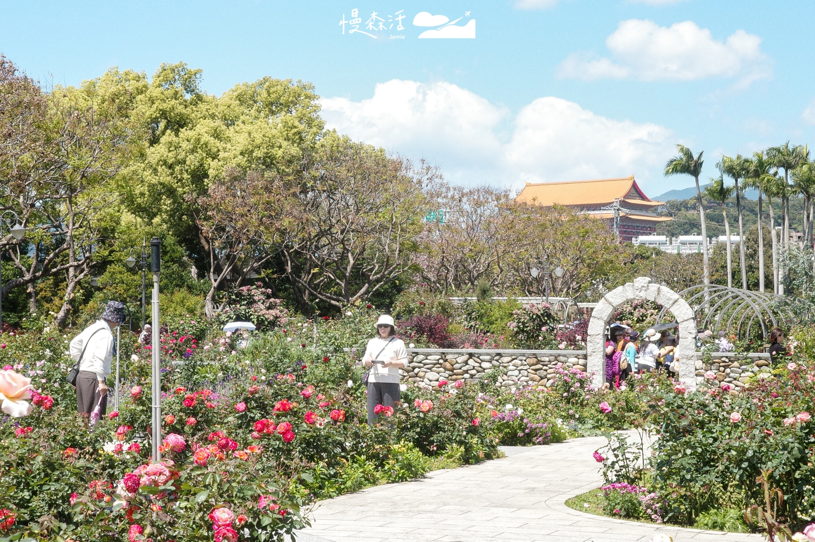 台北市中山區 台北玫瑰園 2026台北玫瑰展