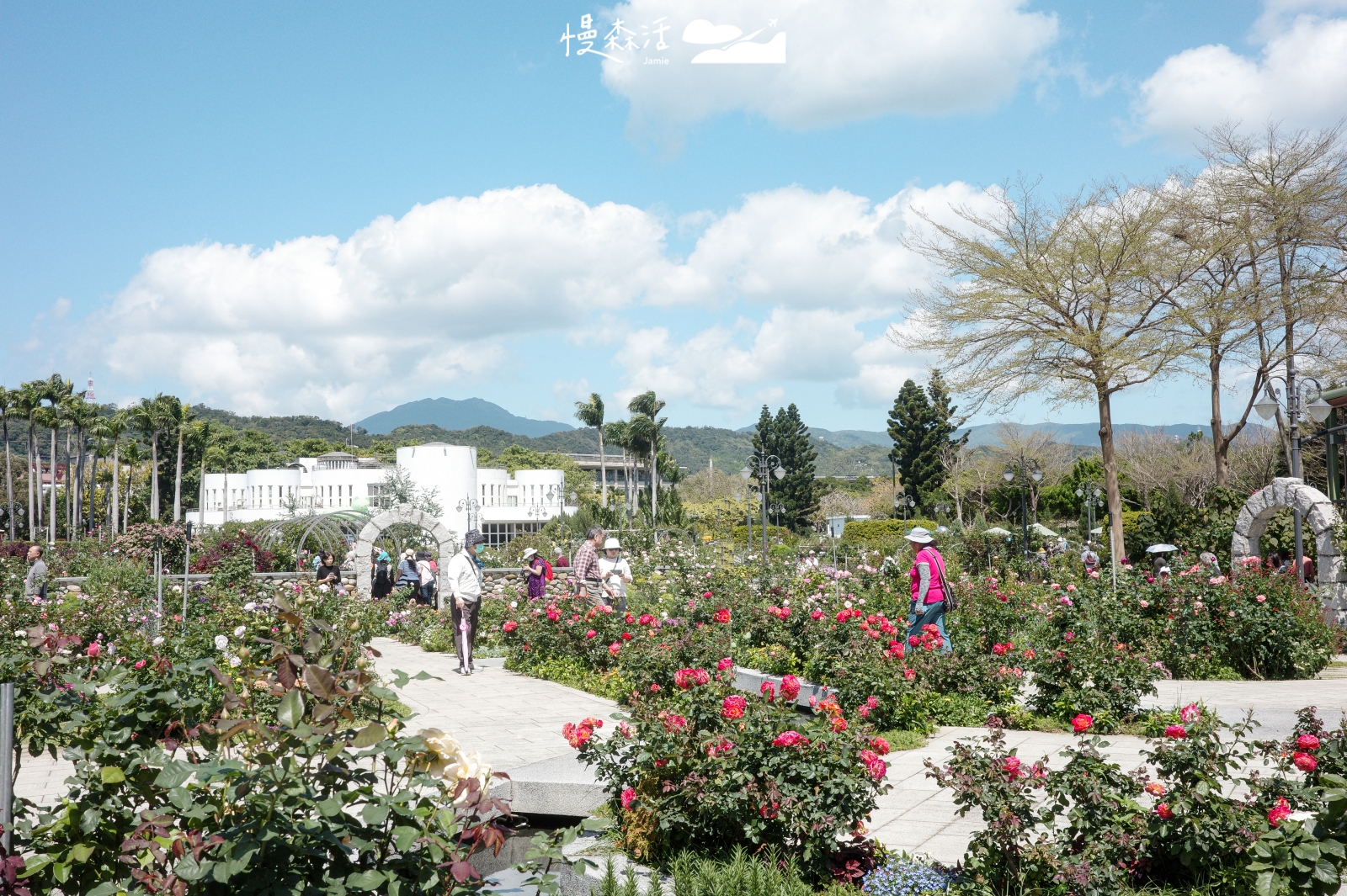 台北市中山區 台北玫瑰園 2026台北玫瑰展