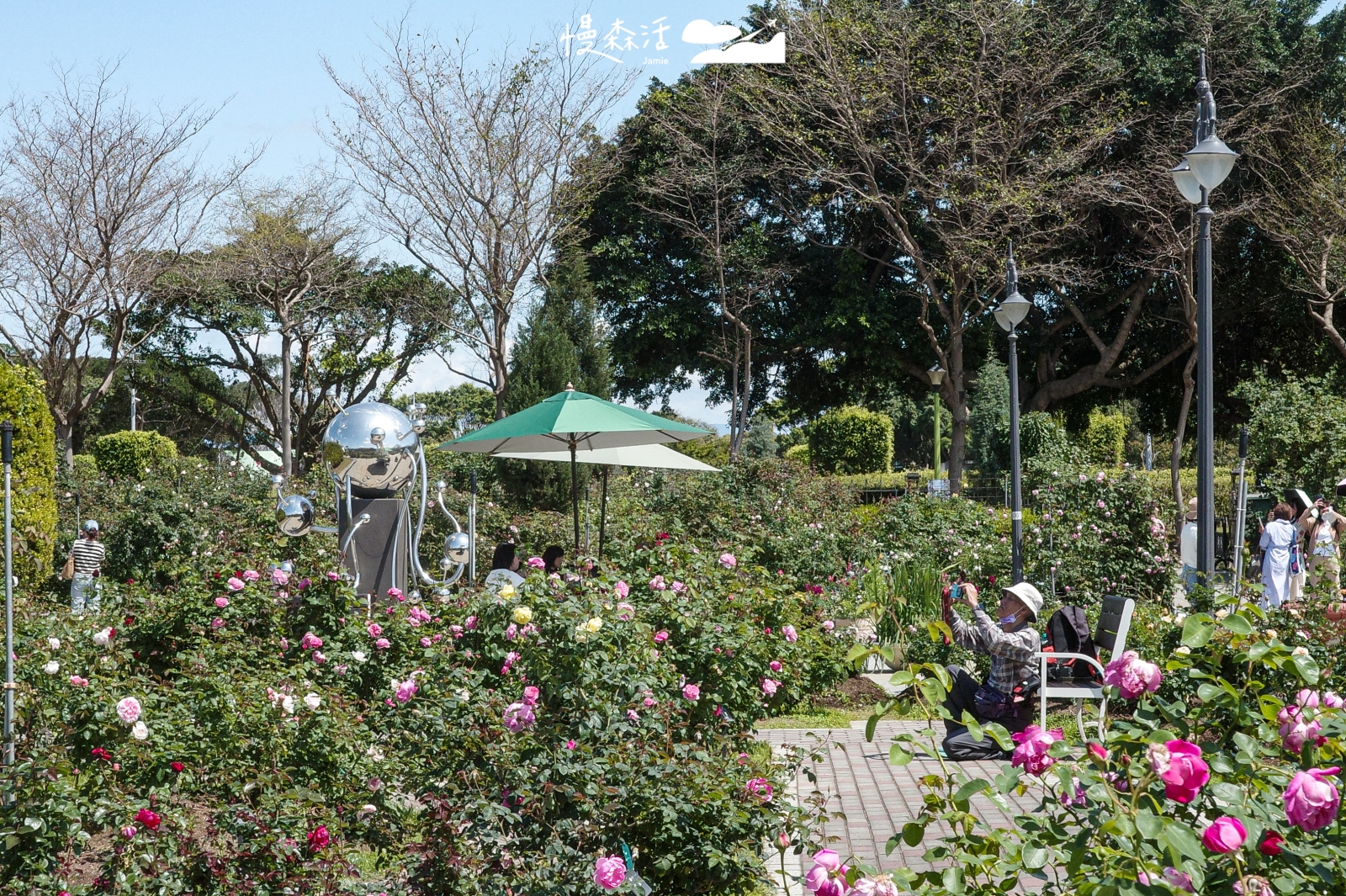 台北市中山區 台北玫瑰園 2026台北玫瑰展