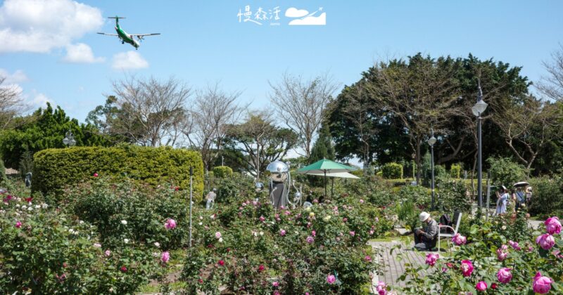 2026台北玫瑰展免費看！800種玫瑰花海綻放，交通、順遊景點全攻略
