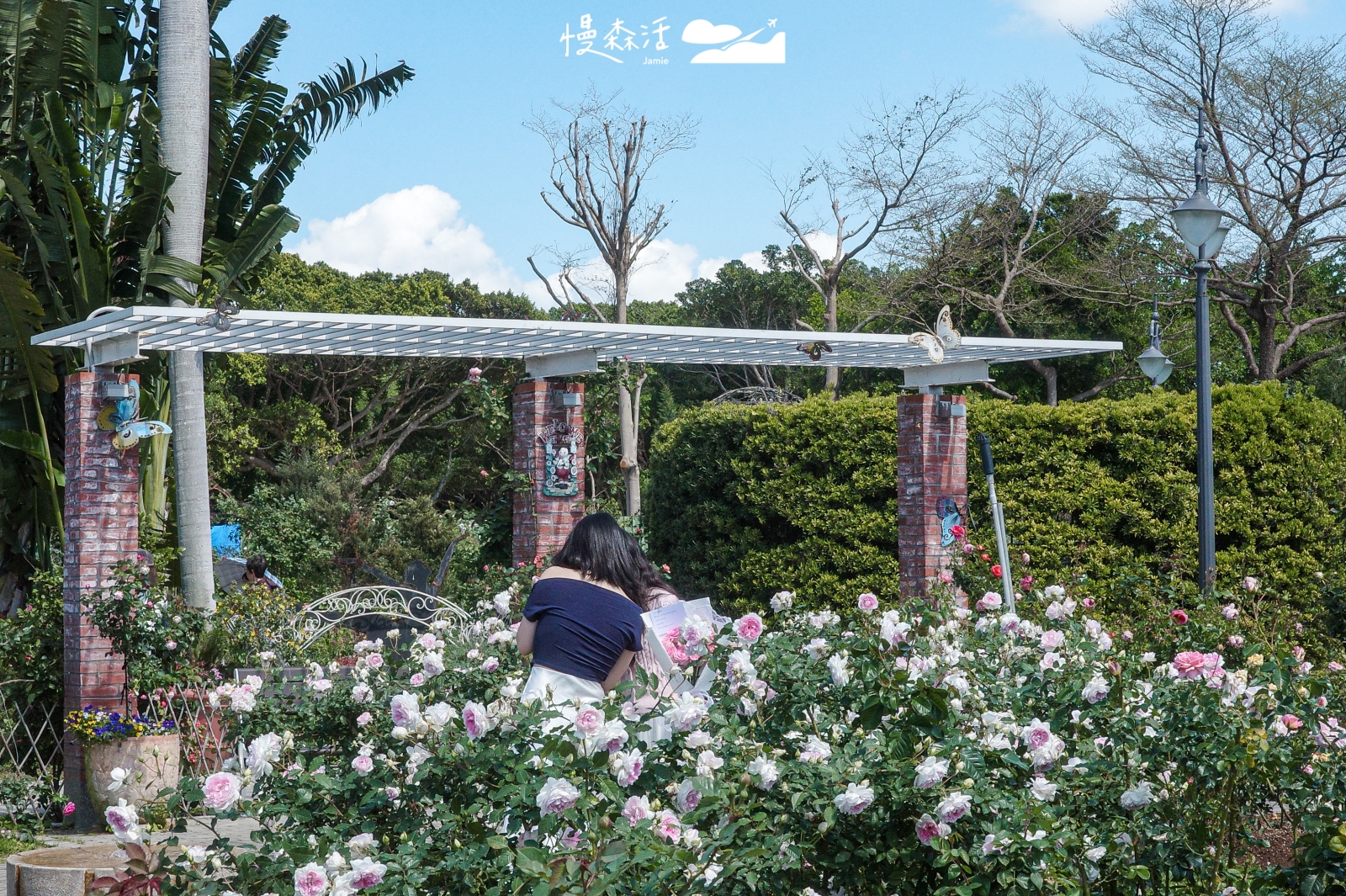 台北市中山區 台北玫瑰園 2026台北玫瑰展