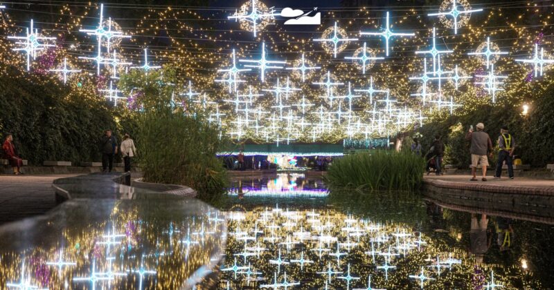 新莊中港大排光雕展「倒數2週」，7米星耀之樹、極地北極熊3/29撤展，快衝一波！