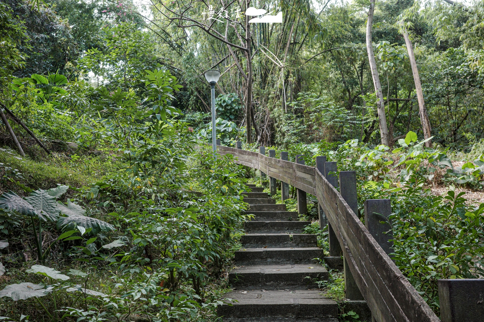 新北市泰山區 義學坑步道