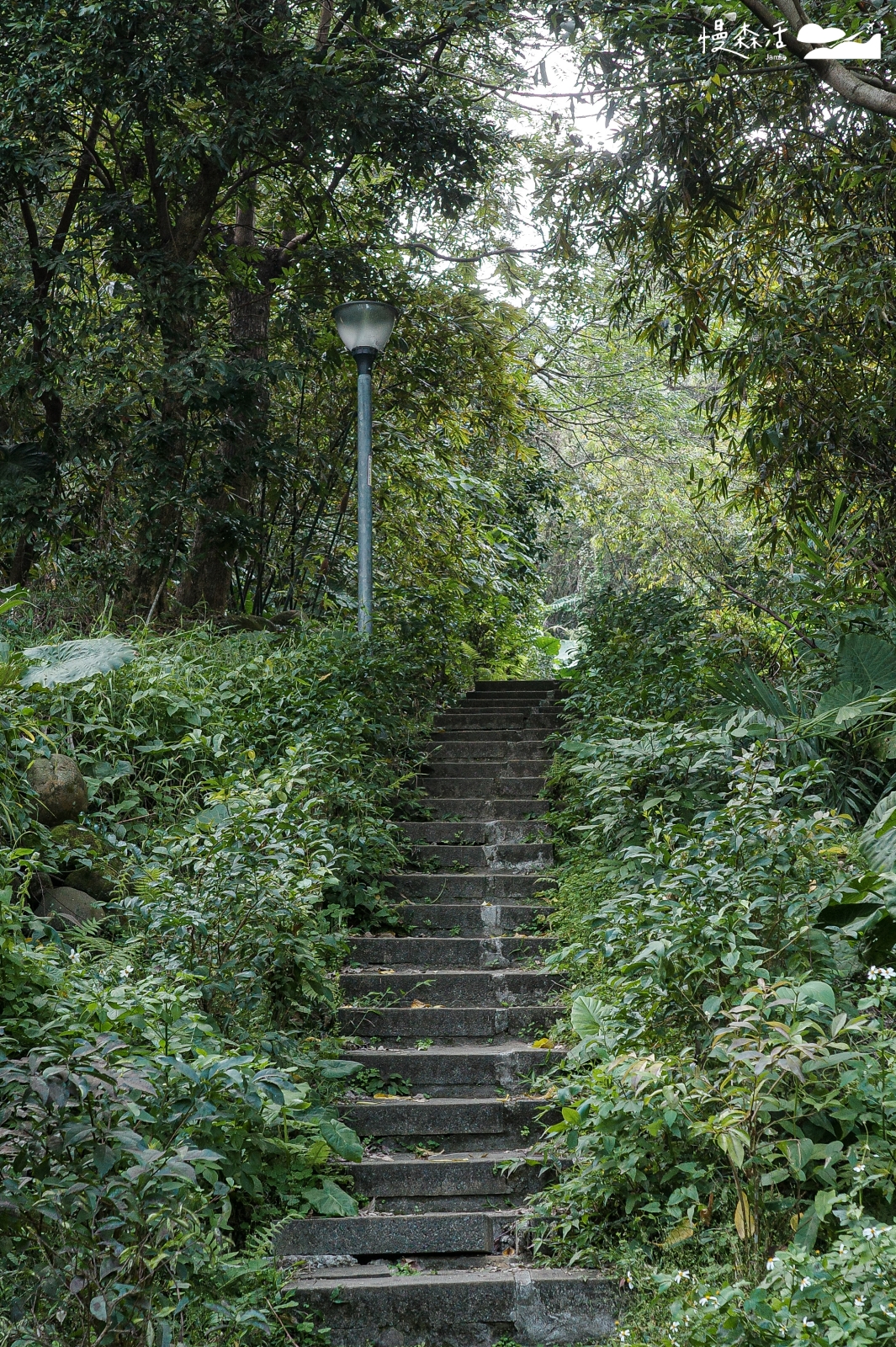 新北市泰山區 義學坑步道