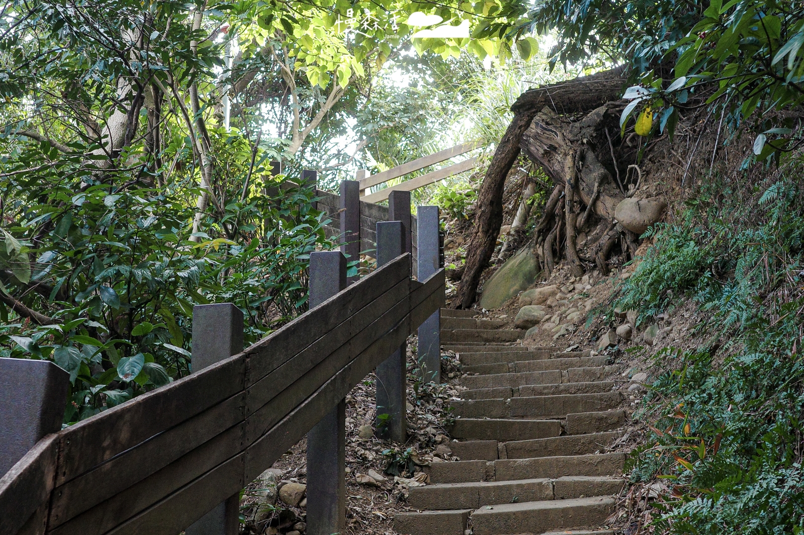 新北市泰山區 義學坑步道
