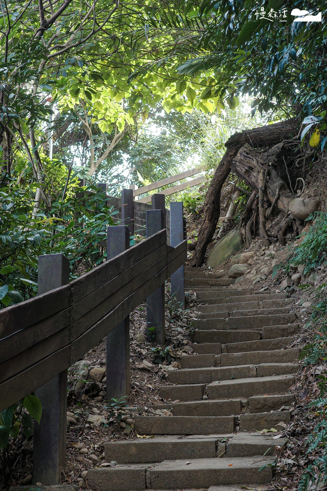 新北市泰山區 義學坑步道