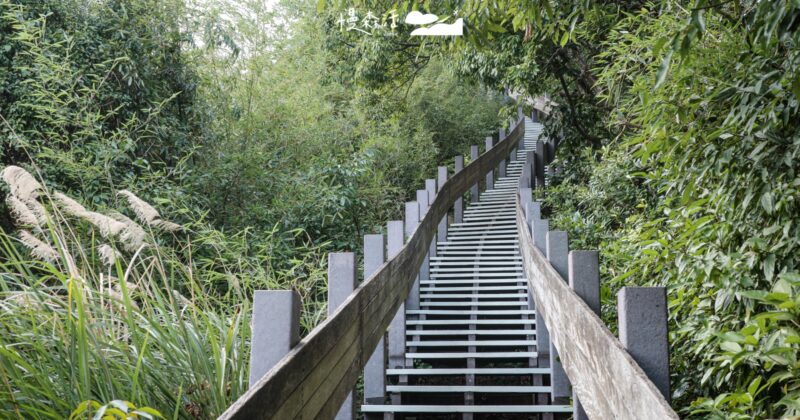 泰山義學坑步道：800公尺森林階梯，隱藏版健身房竟在山頂！