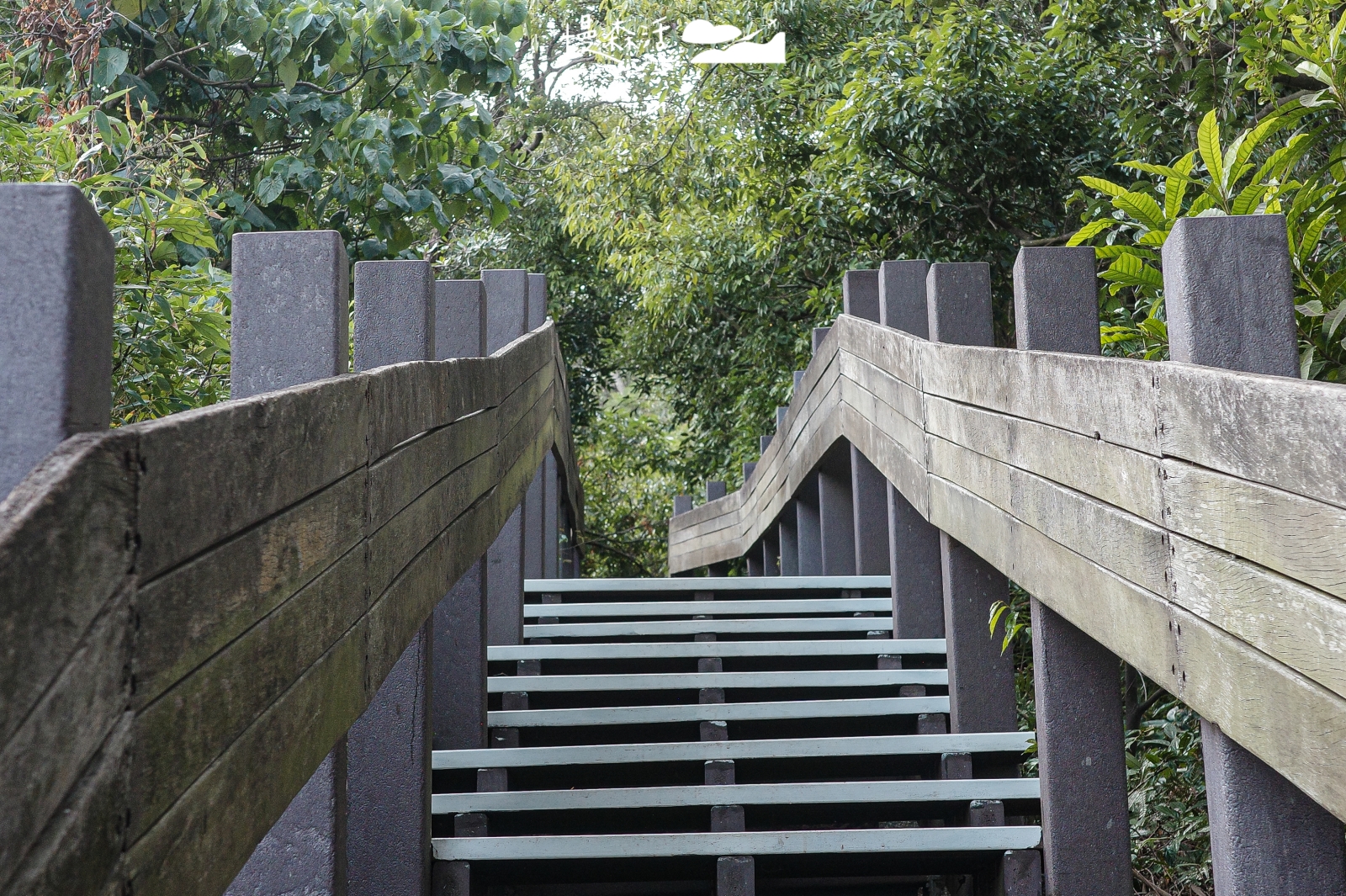 新北市泰山區 義學坑步道