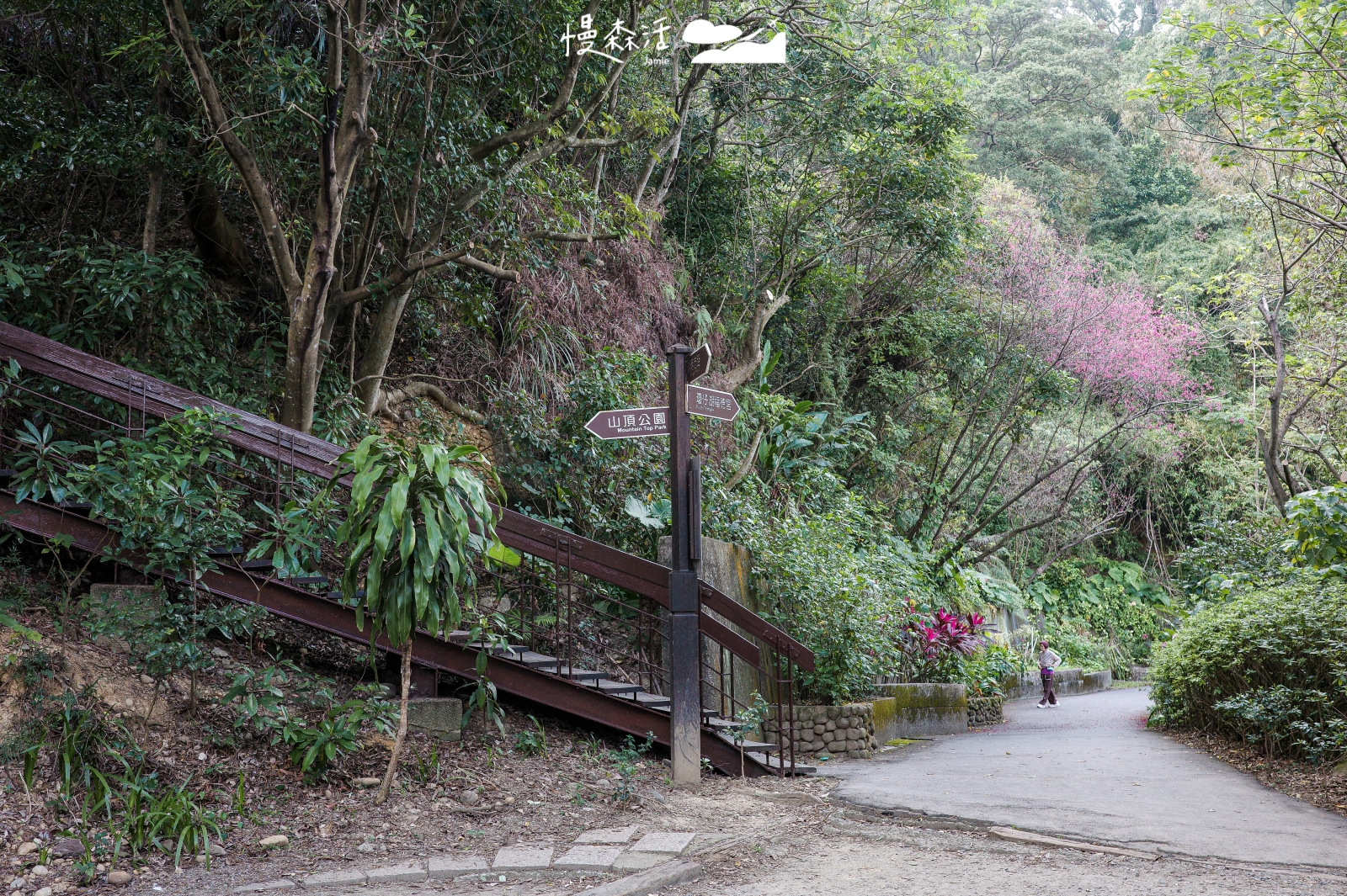 新北市泰山區 義學坑步道路線切換處