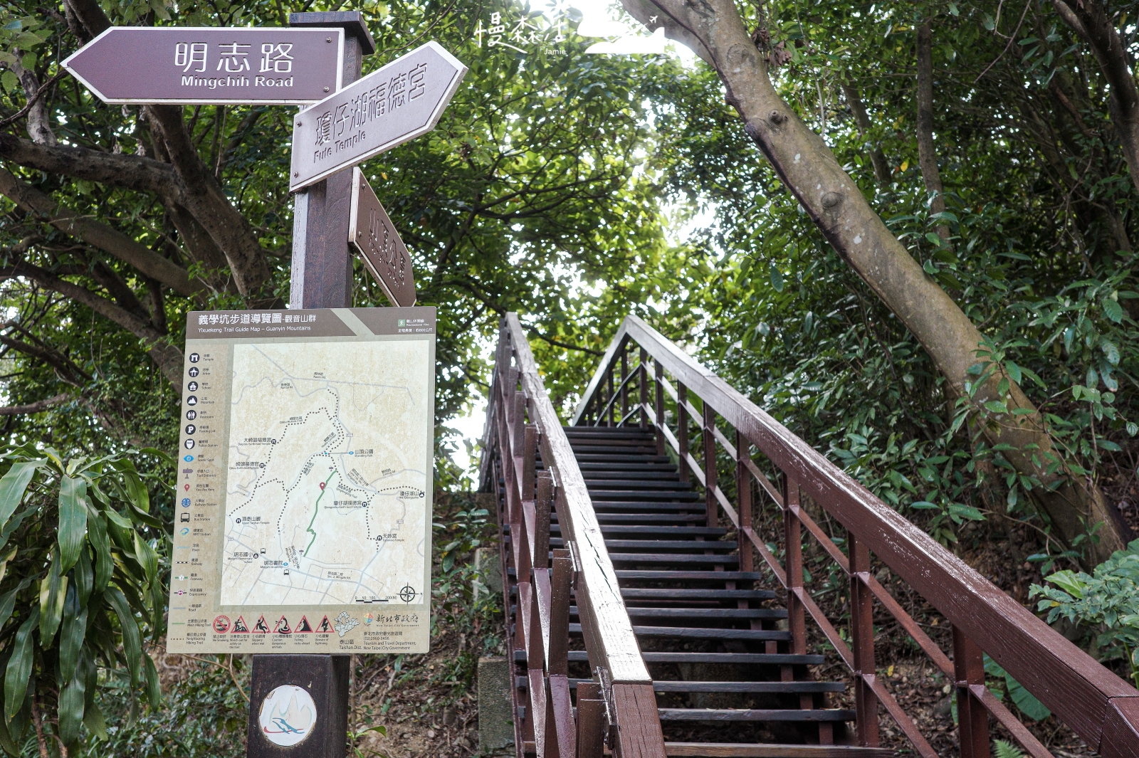 泰山義學坑步道:800公尺森林階梯,隱藏版健身房竟在山頂!