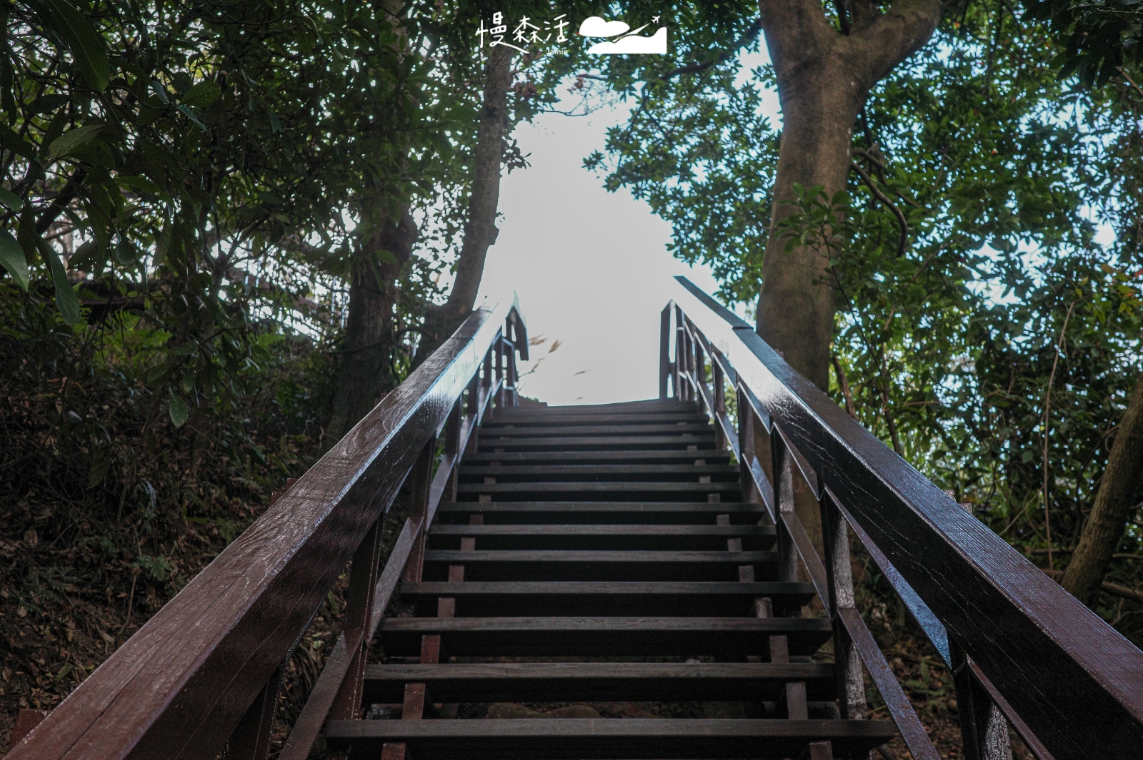 新北市泰山區 義學坑步道