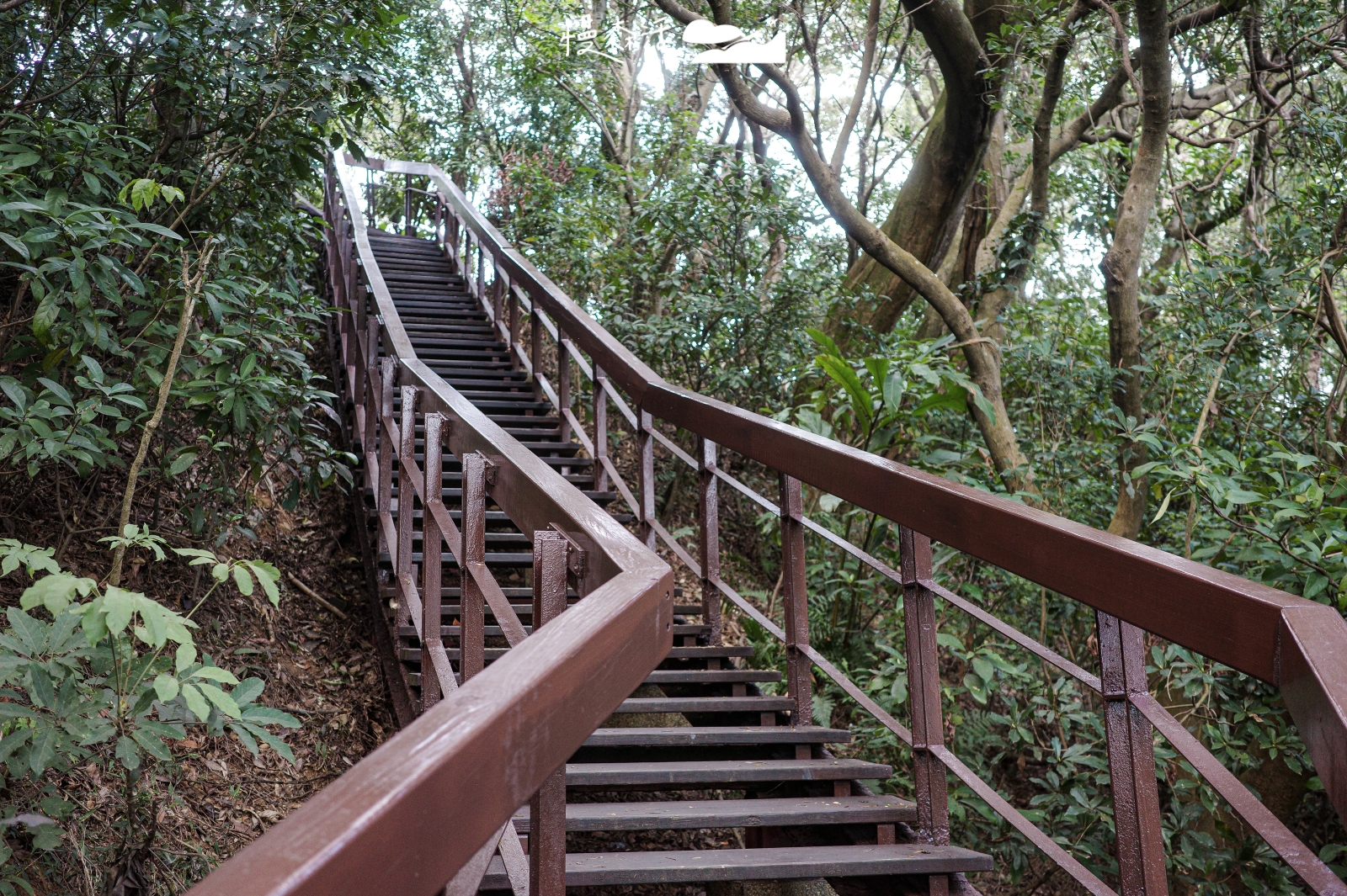 新北市泰山區 義學坑步道