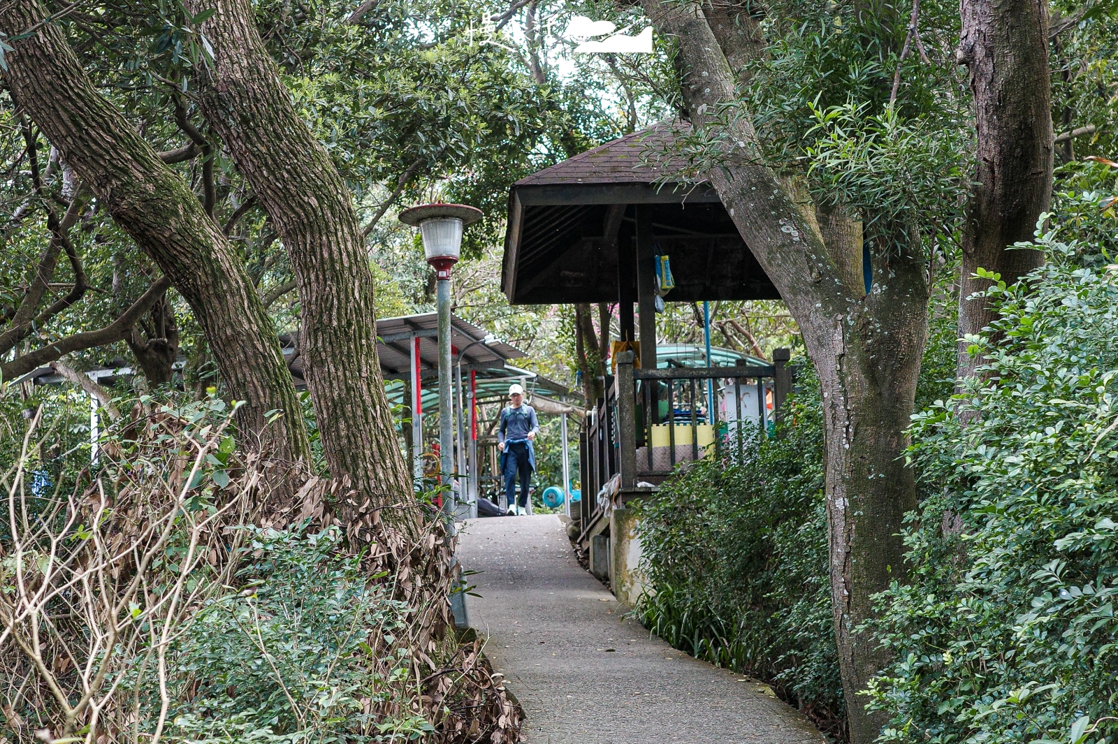 新北市泰山區 義學坑步道 山頂公園
