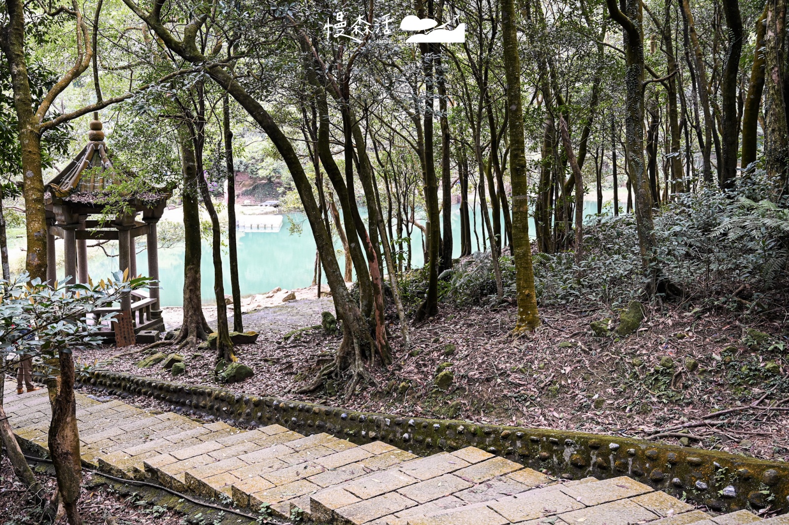 新北市汐止區 新山夢湖