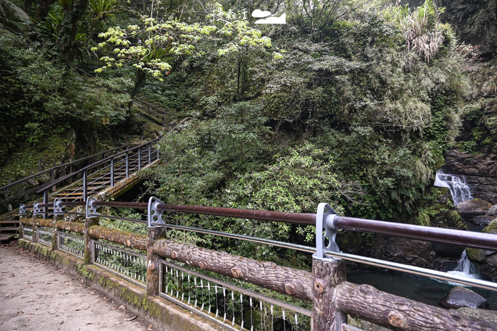 新北市三峽區 滿月圓國家森林遊樂區