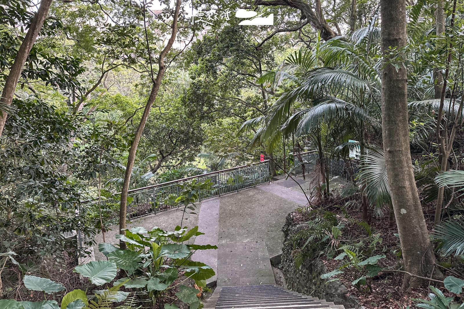 台北市文山區 木柵公園翠湖