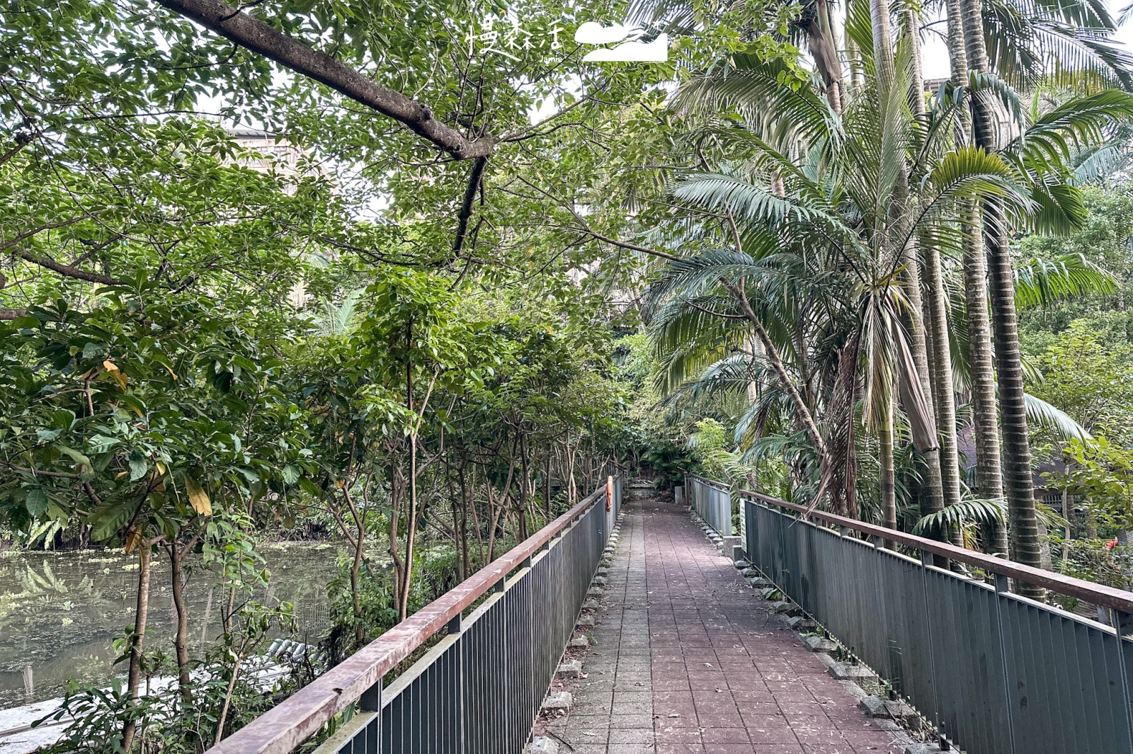 台北市文山區 木柵公園翠湖