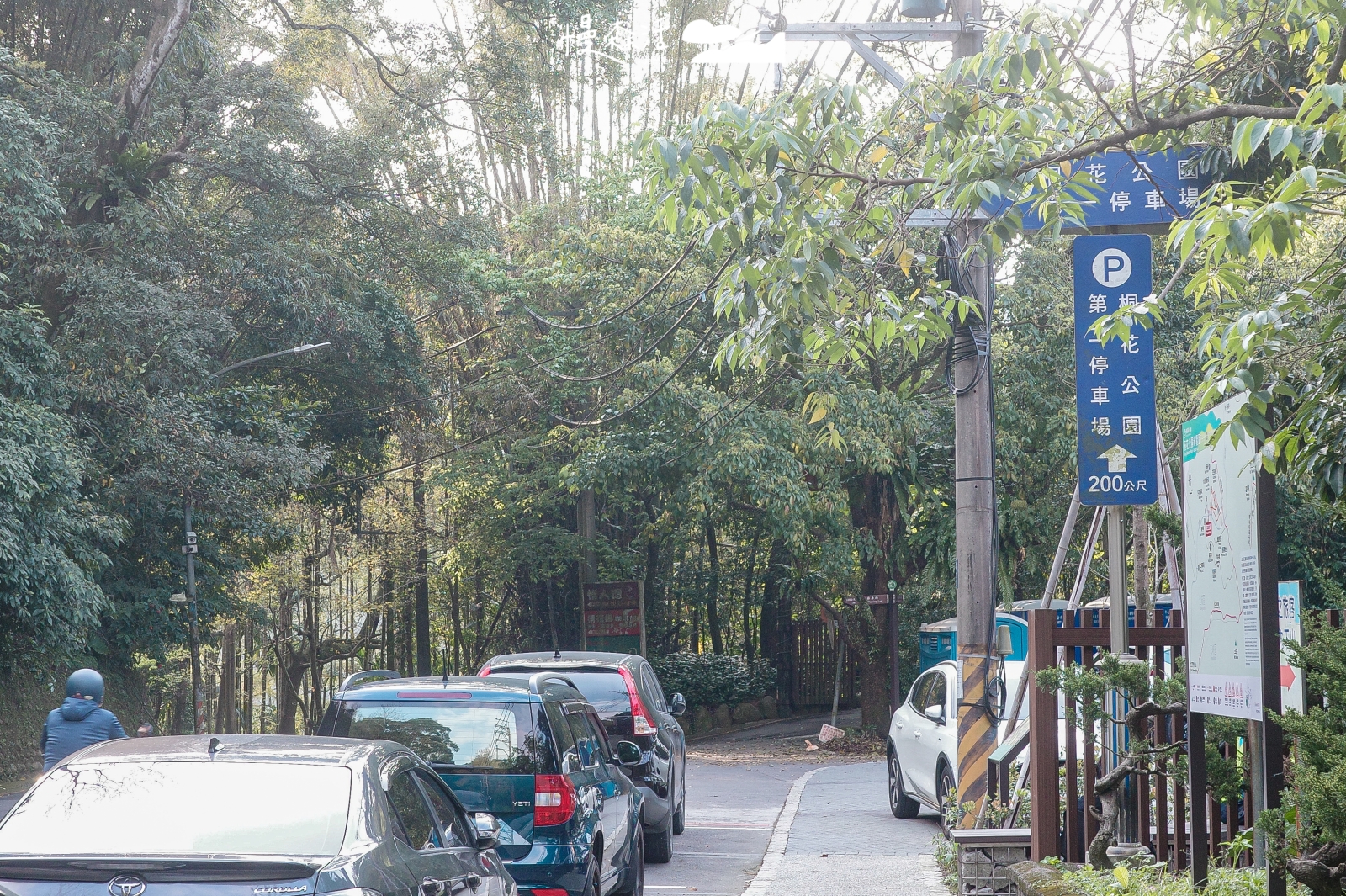 新北市土城區 桐花公園停車場