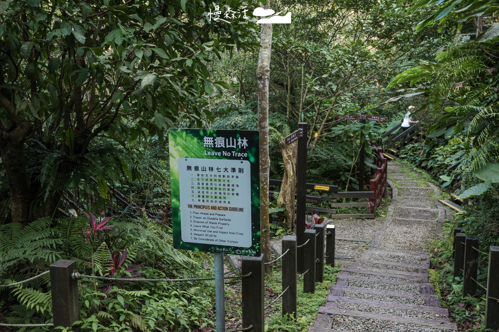 新北市土城區 桐花公園步道