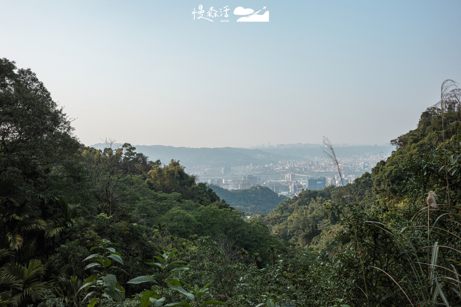 新北市土城區 桐花公園觀景平台遠眺之景
