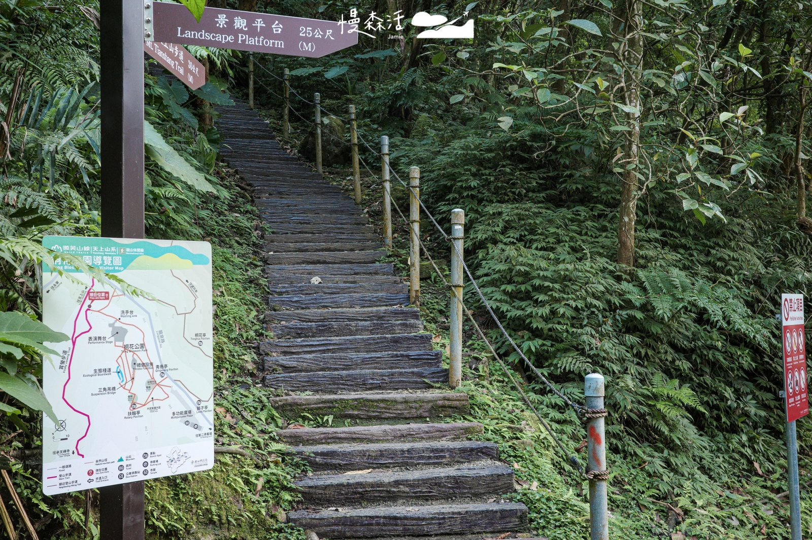 新北市土城區 桐花公園往天上山步道