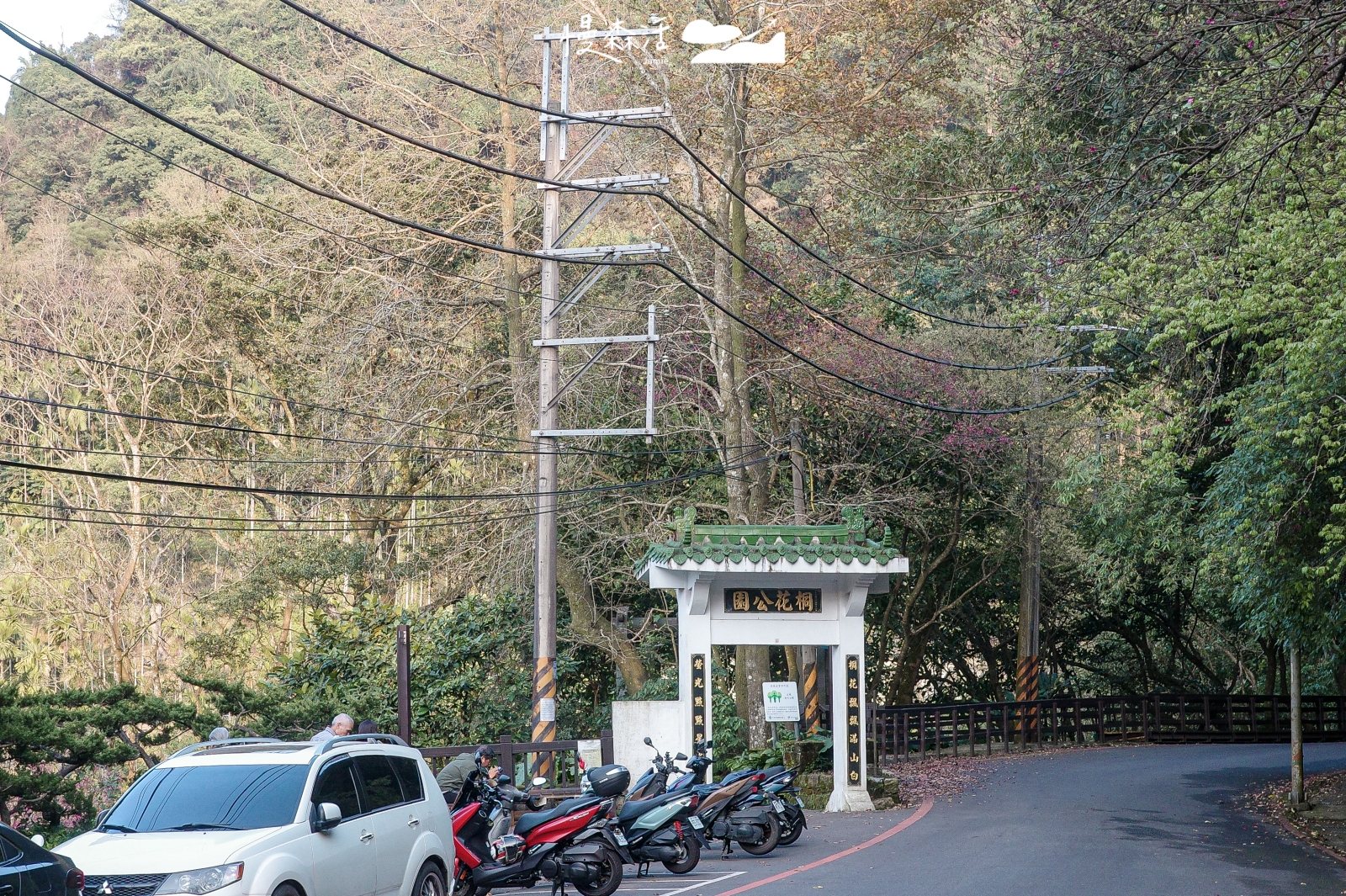 新北市土城區 桐花公園