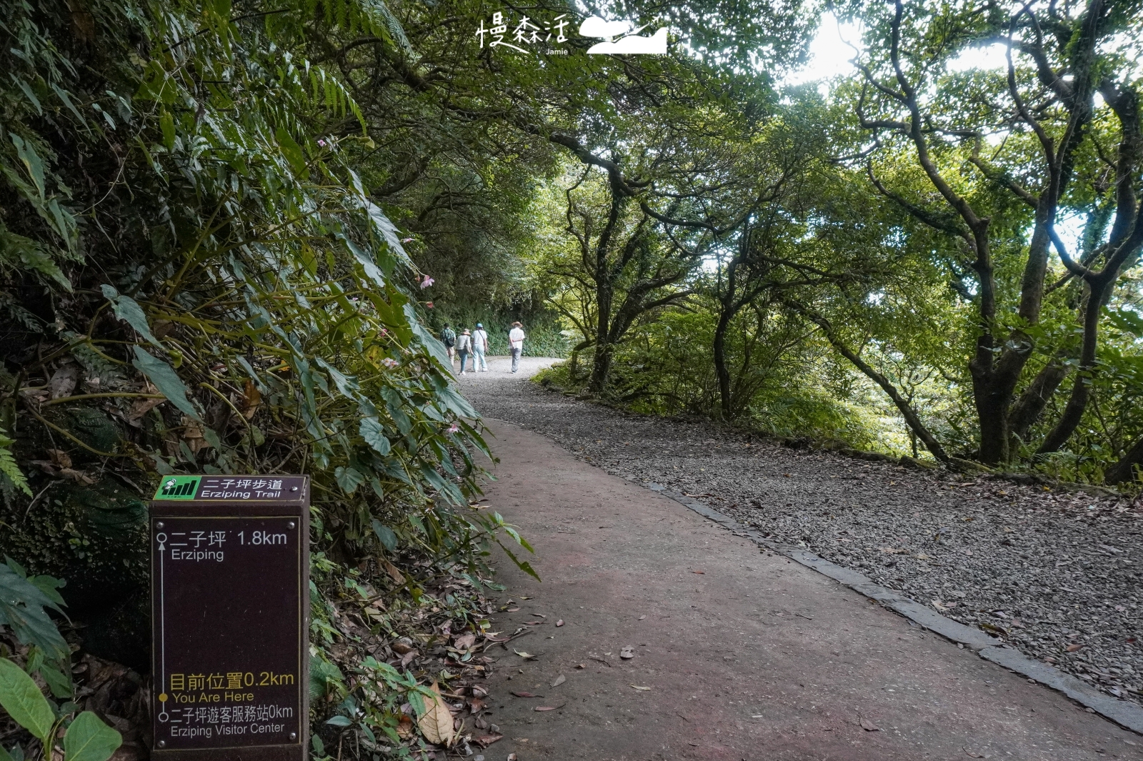 台北市北投區 陽明山二子坪步道