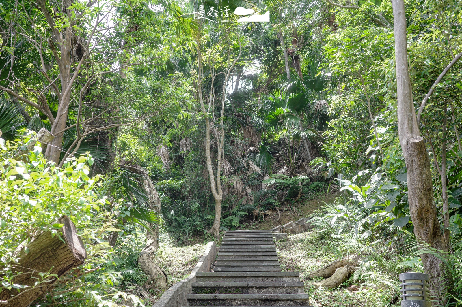 新北市新店區 和美山登山步道 親山路線