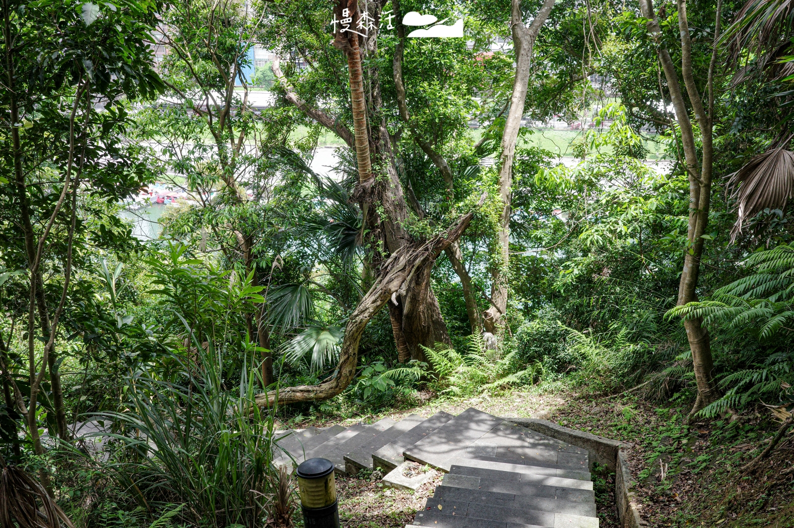新北市新店區 和美山登山步道 親山路線