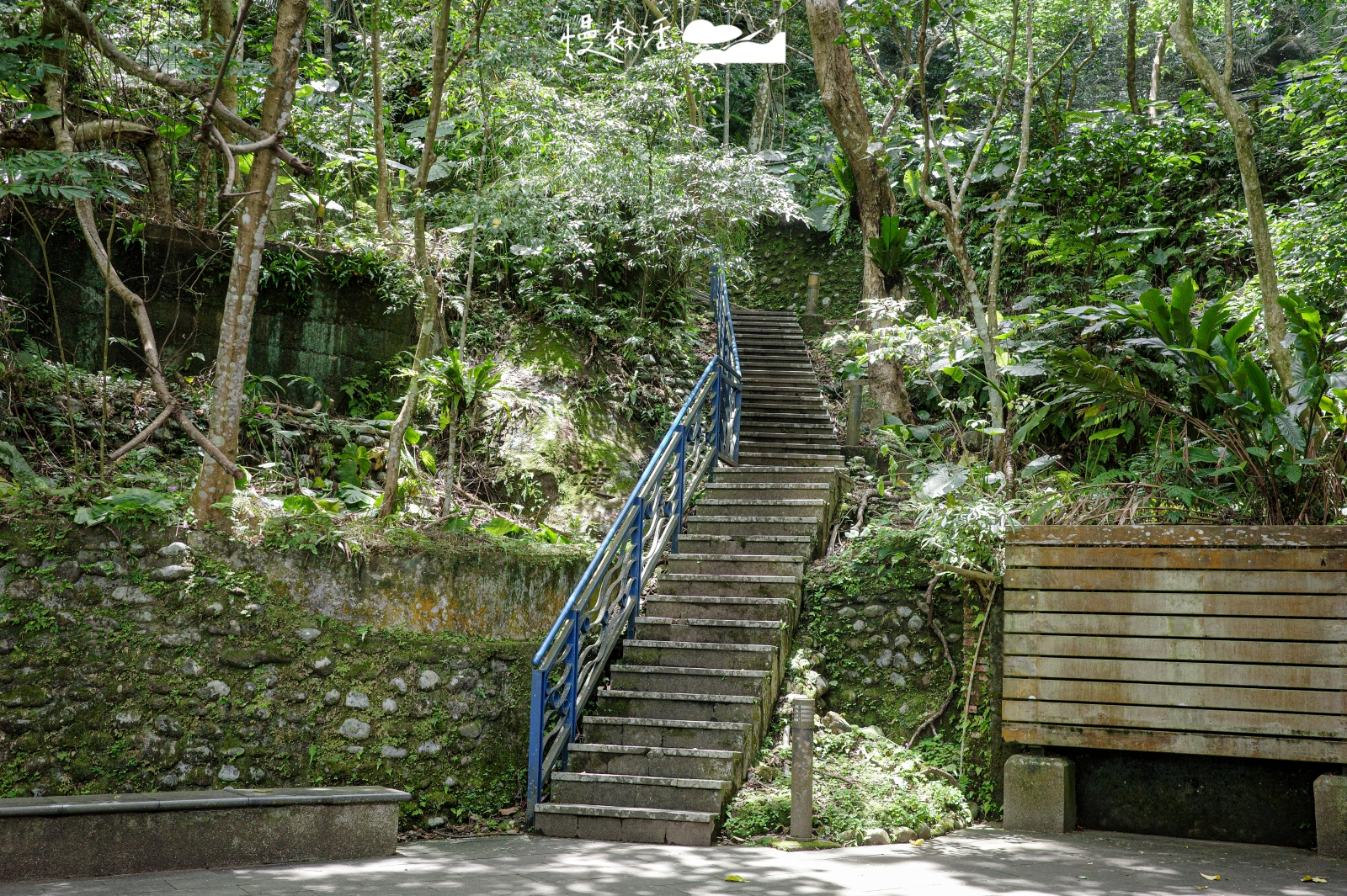 新北市新店區 和美山登山步道 水岸路線