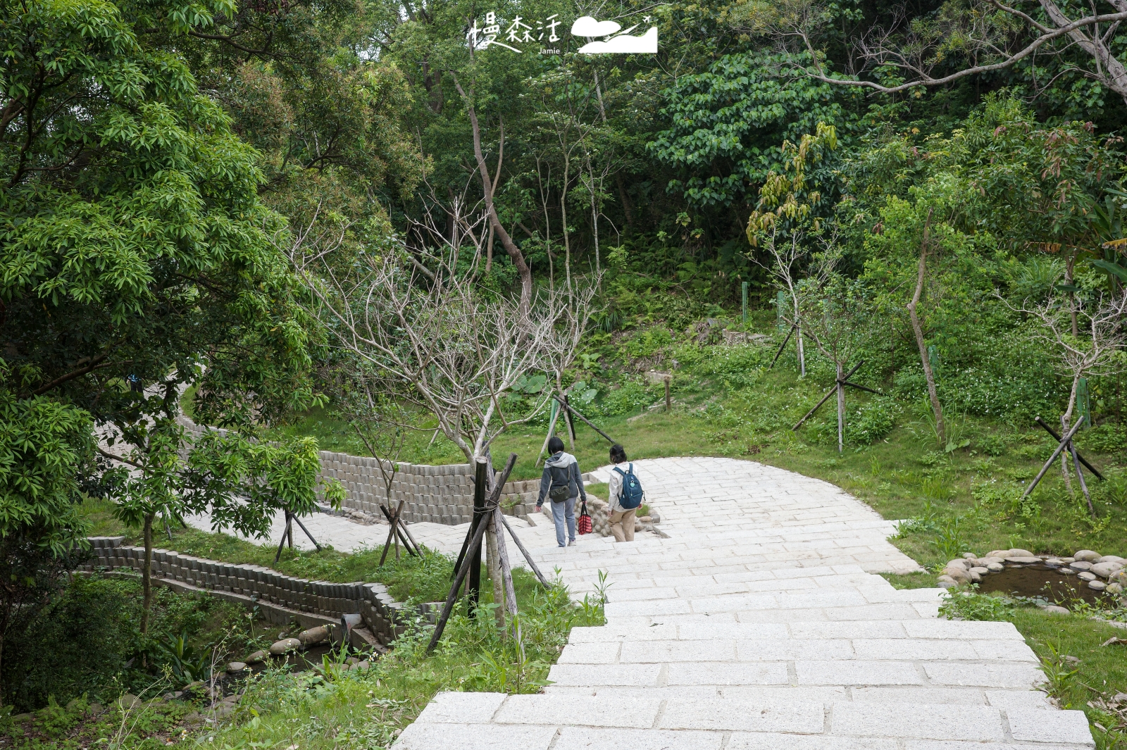 台北市北投區 小牛埔步道