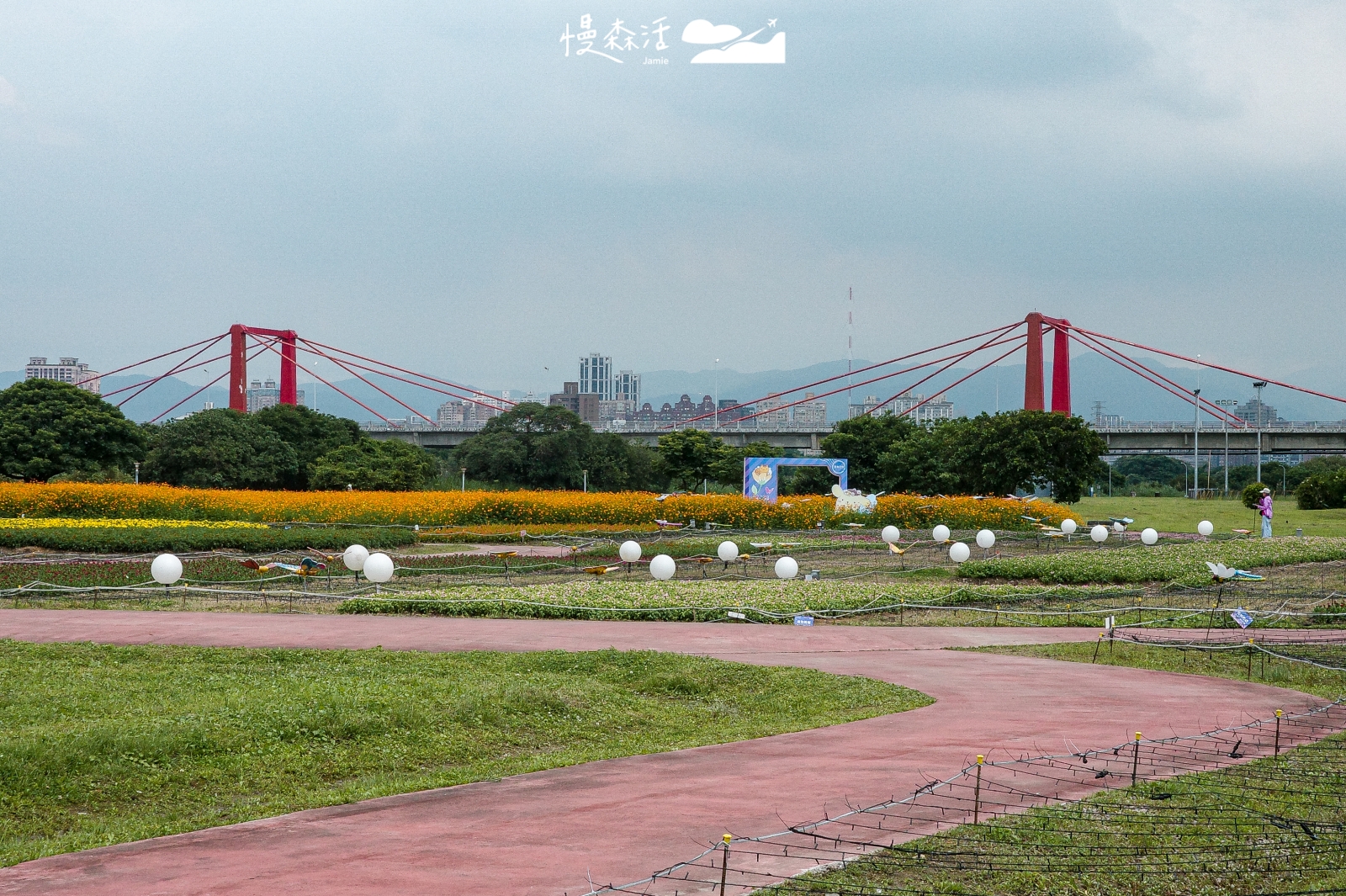 新北市板橋區 板橋蝴蝶公園 2026 新北河濱蝶戀季